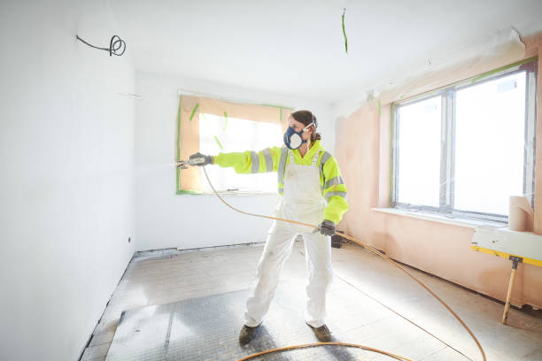 Mold Odor Removal Services in Grosse Pointe Park, MI